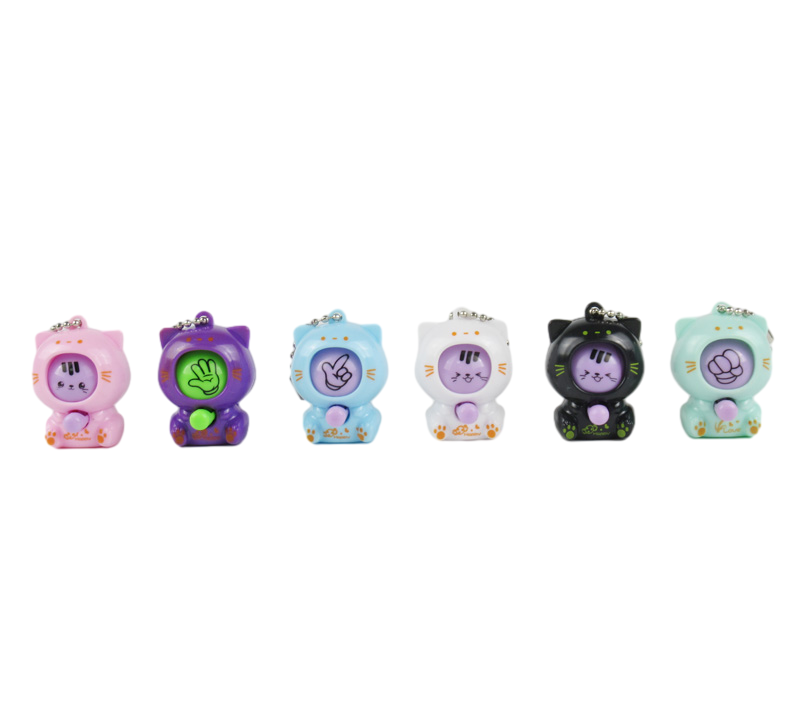 keyholder with the function of changing face